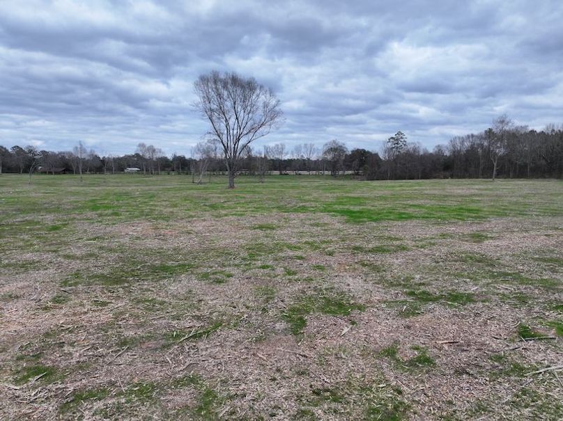 Copy of dji_fly_20260217_144042_0165_1771436899856_photo