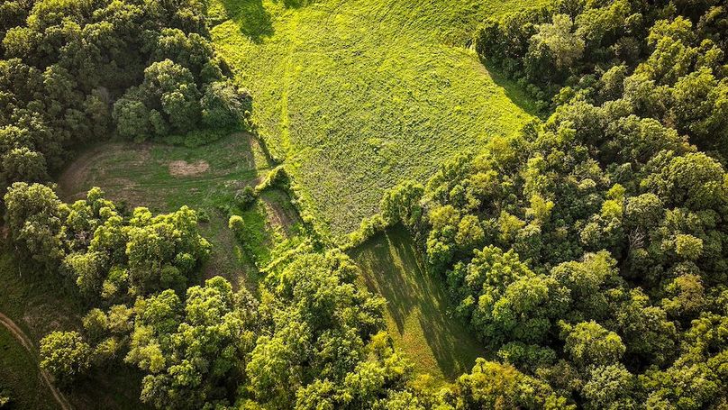 dji_fly_20250705_194714_0406_1751759932617_photo