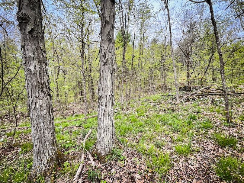 Jefferson_148.1_Flood_Photos_47