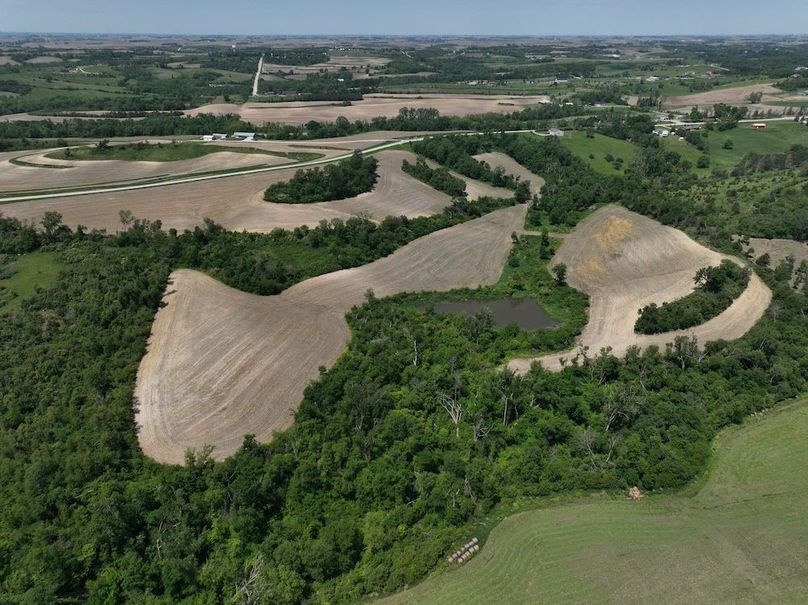 dji_fly_20260527_121418_483_1779910968694_photo