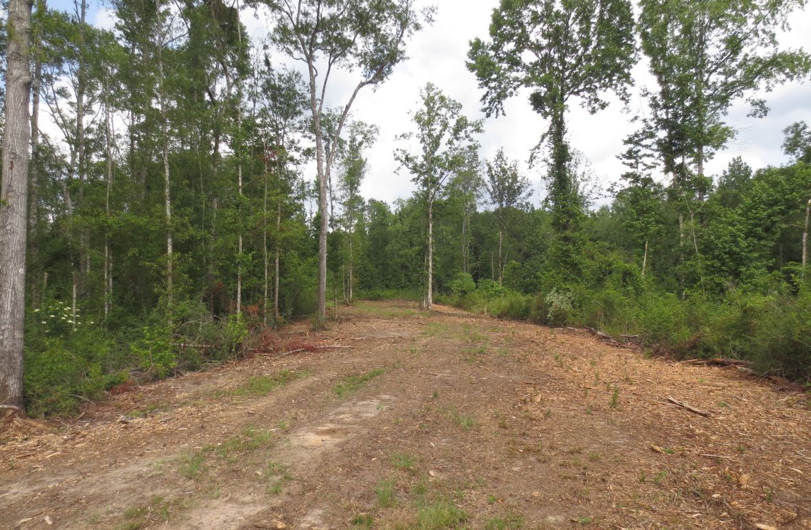 5E60C594-A5F9-413B-8561-77B961D0821B