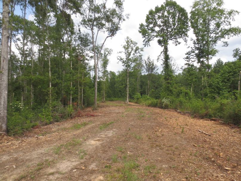 5E60C594-A5F9-413B-8561-77B961D0821B