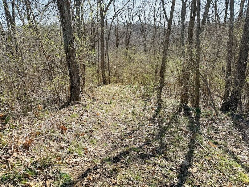 Fleming Petry 115-26