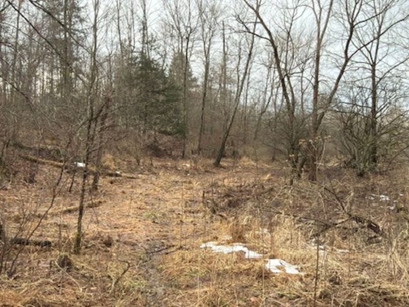 BC123D5D-7348-45A9-BA63-D0FA88BE1E18_4_5005_c