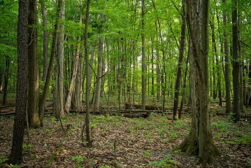 Lapeer MI 170 Featured_Pro Photo-107