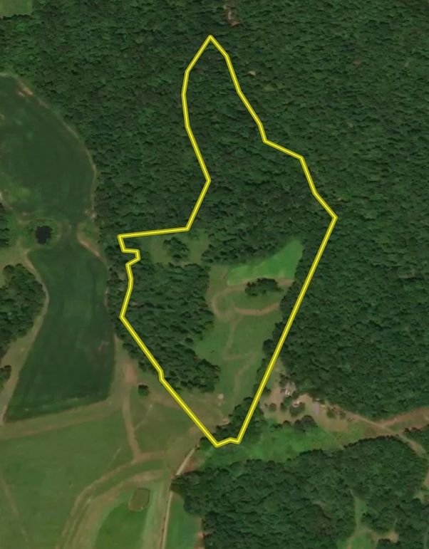 B7F74D51-0683-47D2-9816-DB046099D349