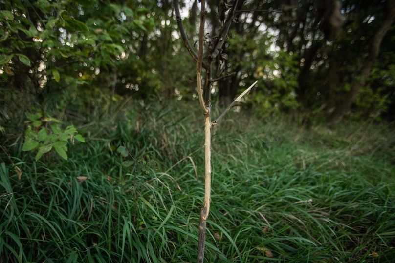 Copy of POTTAWATTAMIE CO IA 311 TRACT 3_10