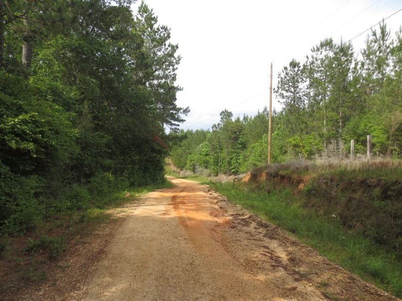 4D8E2D2C-4547-43E0-8715-ED6FD59C2BA2_1_105_c