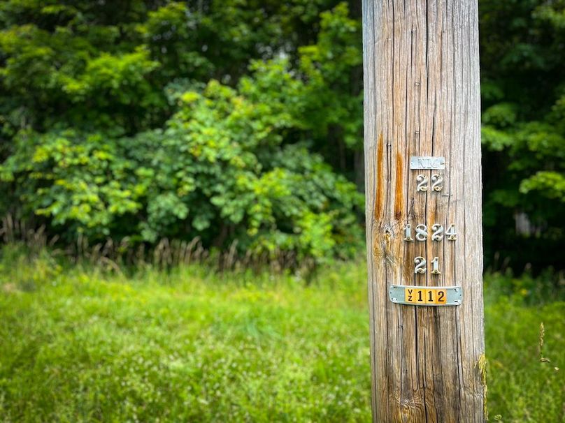 Oswego_21.25-Paro_Photos_28