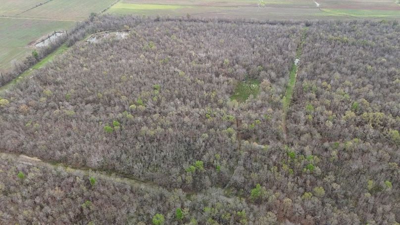 DJI_20260310012144_0010_D