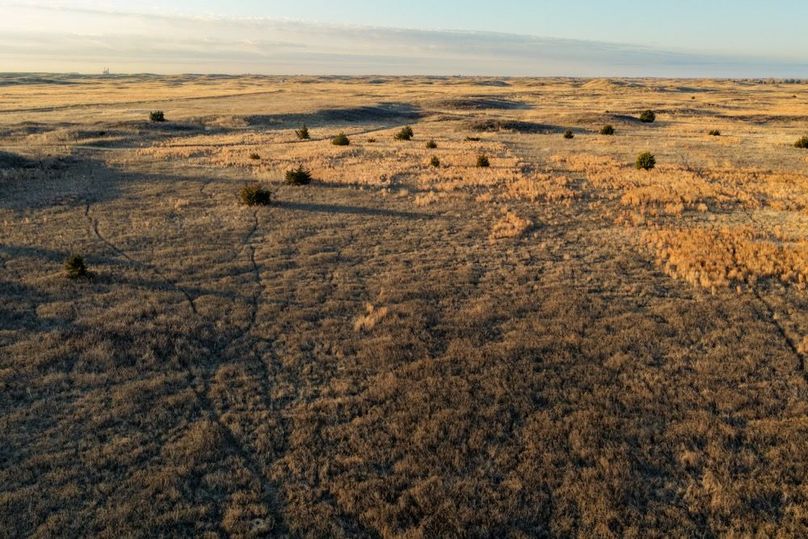 DJI_20260311082601_0537_D