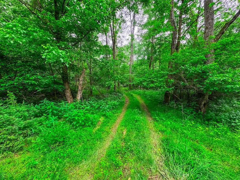 Tyler, WV 313.87 AC -41