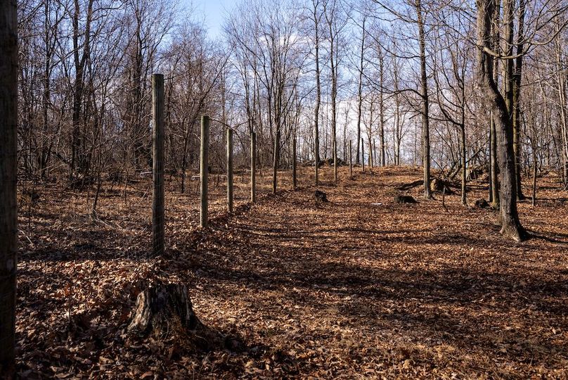 Copy of Hampshire WV 200 Featured_Pro Photo-13