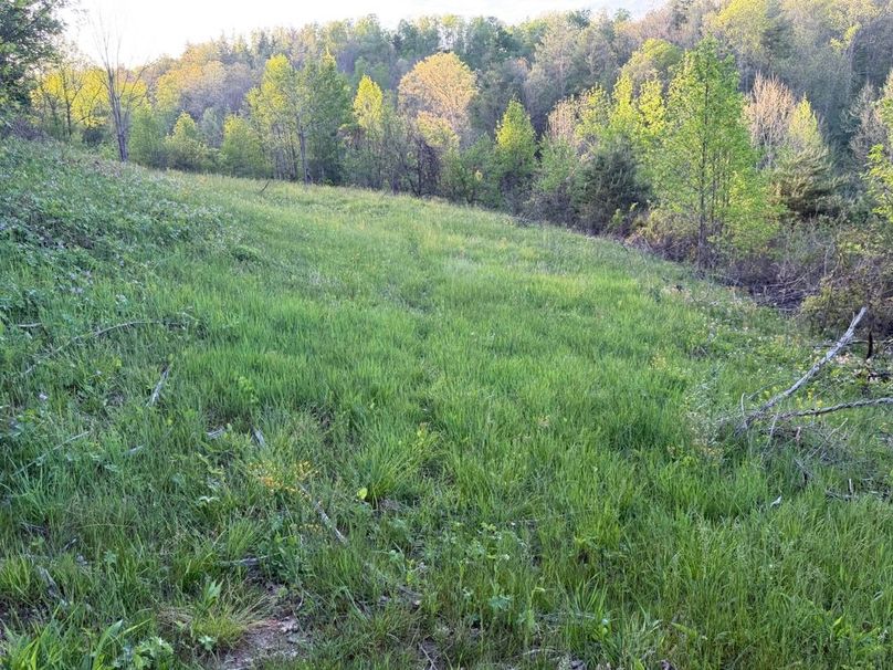 014 Solid deer trail leading out of the main back of the pastures-2