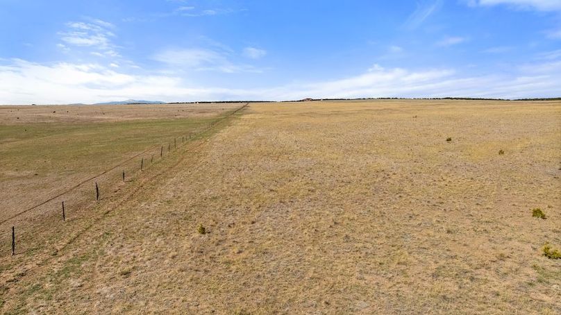 DJI_20250408163437_0003_D