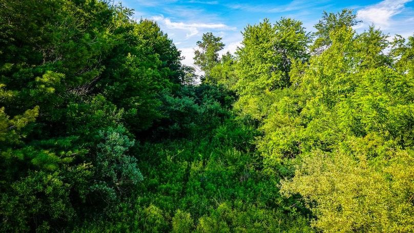 dji_fly_20260530_094756_0120_1780149190533_photo