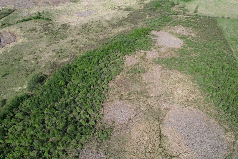 dji_fly_20260528_103030_345_1779982510917_photo
