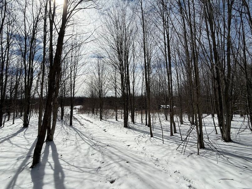 Chemung_43.23_Lippincott Photo 42