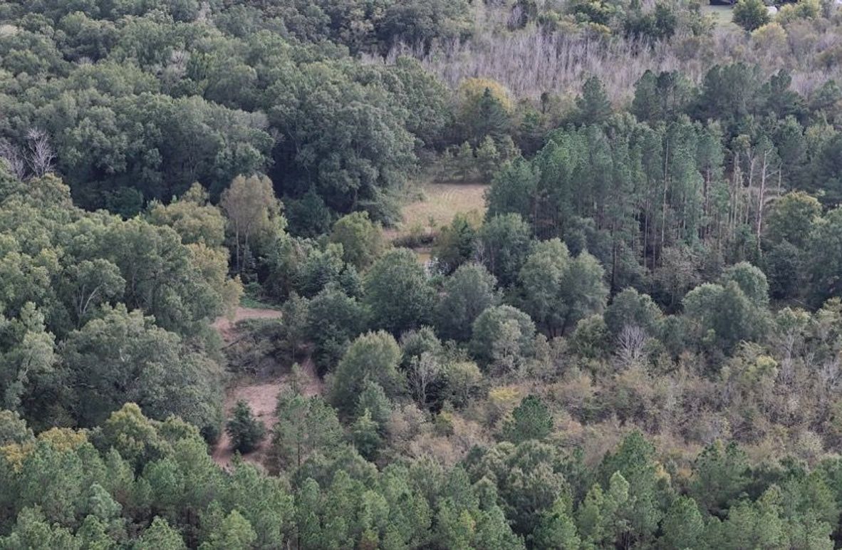 DJI_20250930052942_0766_D