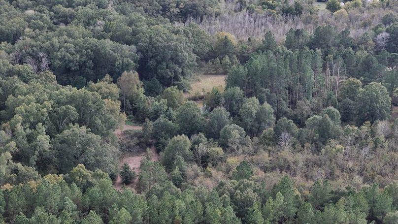 DJI_20250930052942_0766_D