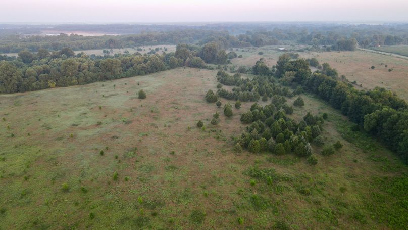 dji_fly_20230625_062420_987_1687692349555_photo