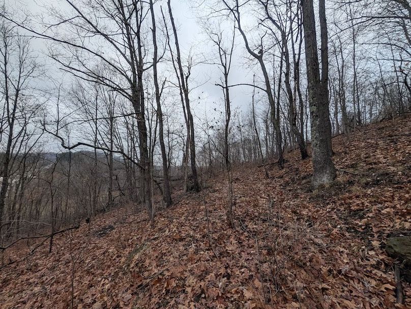 PXL_20260107_165440574