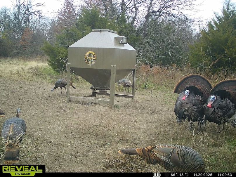 864049055449112-100-2-11202025145043-HD-SYEW9691