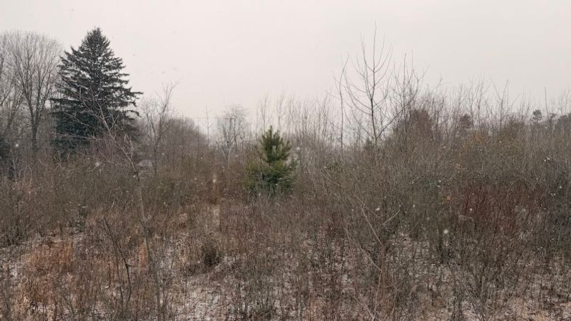 CF0A1DF0-F582-4DAB-83FF-027EA42070F9_1_201_a