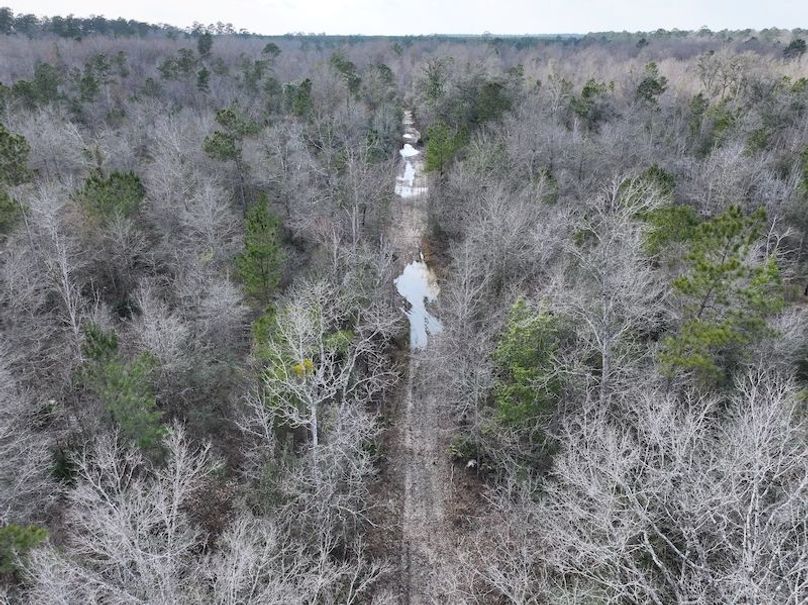 dji_fly_20260212_140138_0045_1771284247301_photo