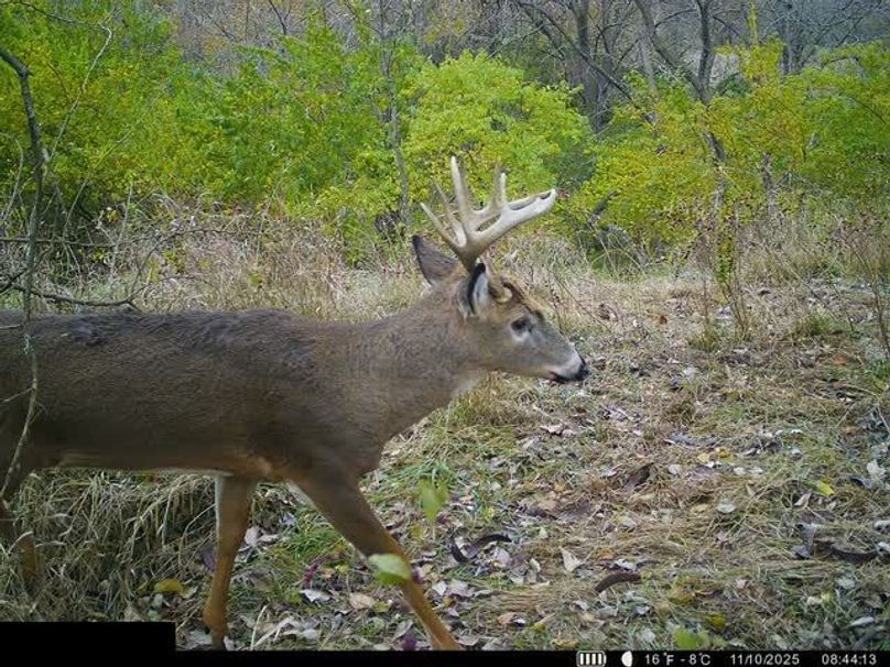 864049054588258-100-4-11102025084430-W1003412