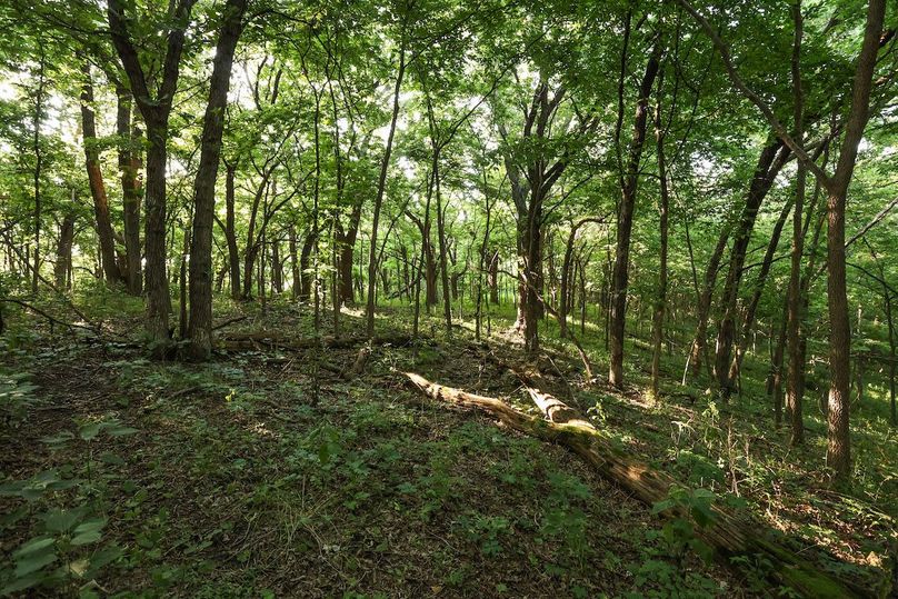 HARRISON CO. IA 24.85_81