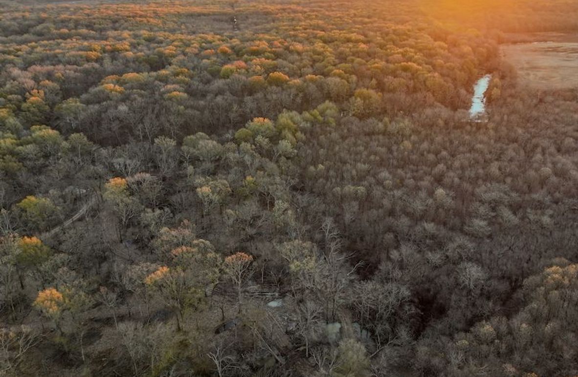 St. Francis 216.9 Calvin Parker Farms Profile -03