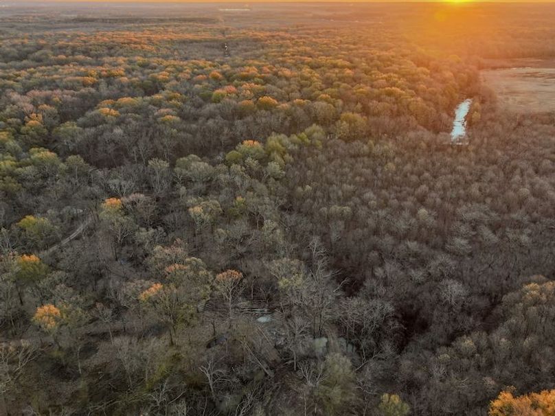 St. Francis 216.9 Calvin Parker Farms Profile -03