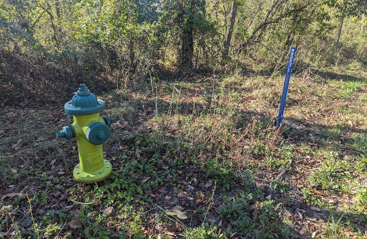 PXL_20251001_203449537