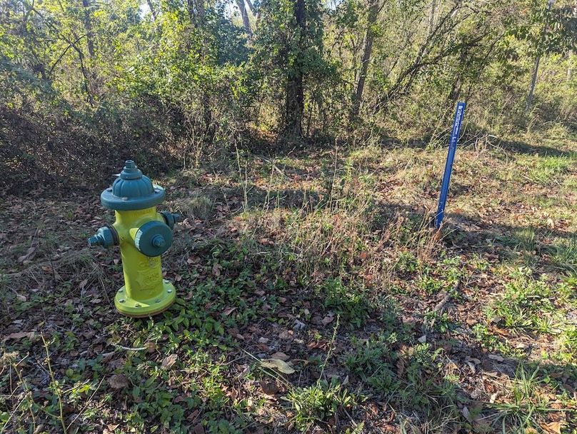 PXL_20251001_203449537