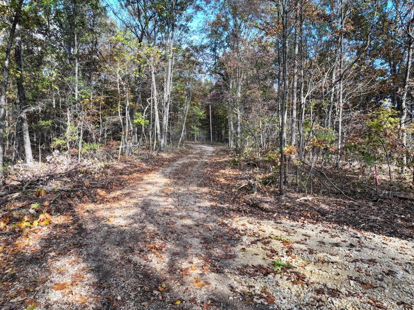 DJI_20251102094608_0825_D