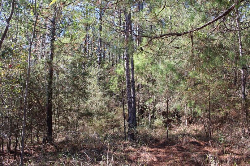 99730EA4-5DD2-4D99-99F0-D89EFB6B6FAC_1_105_c