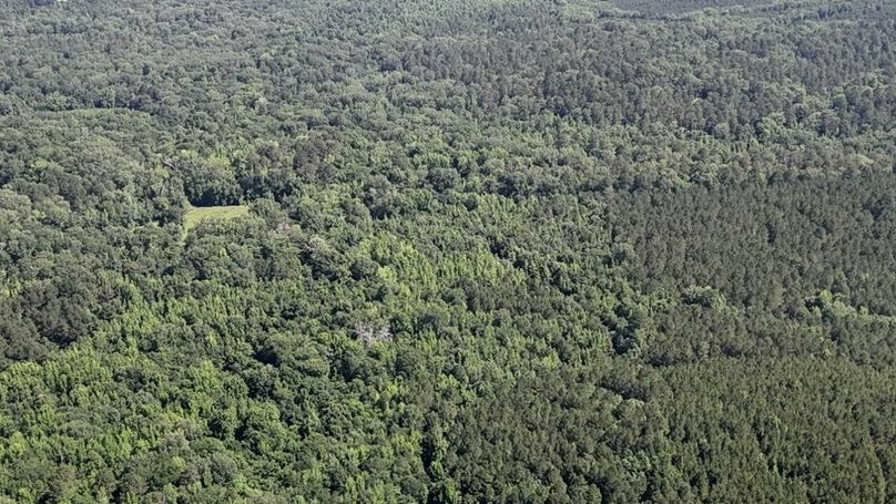 DJI_20260602233928_0056_D