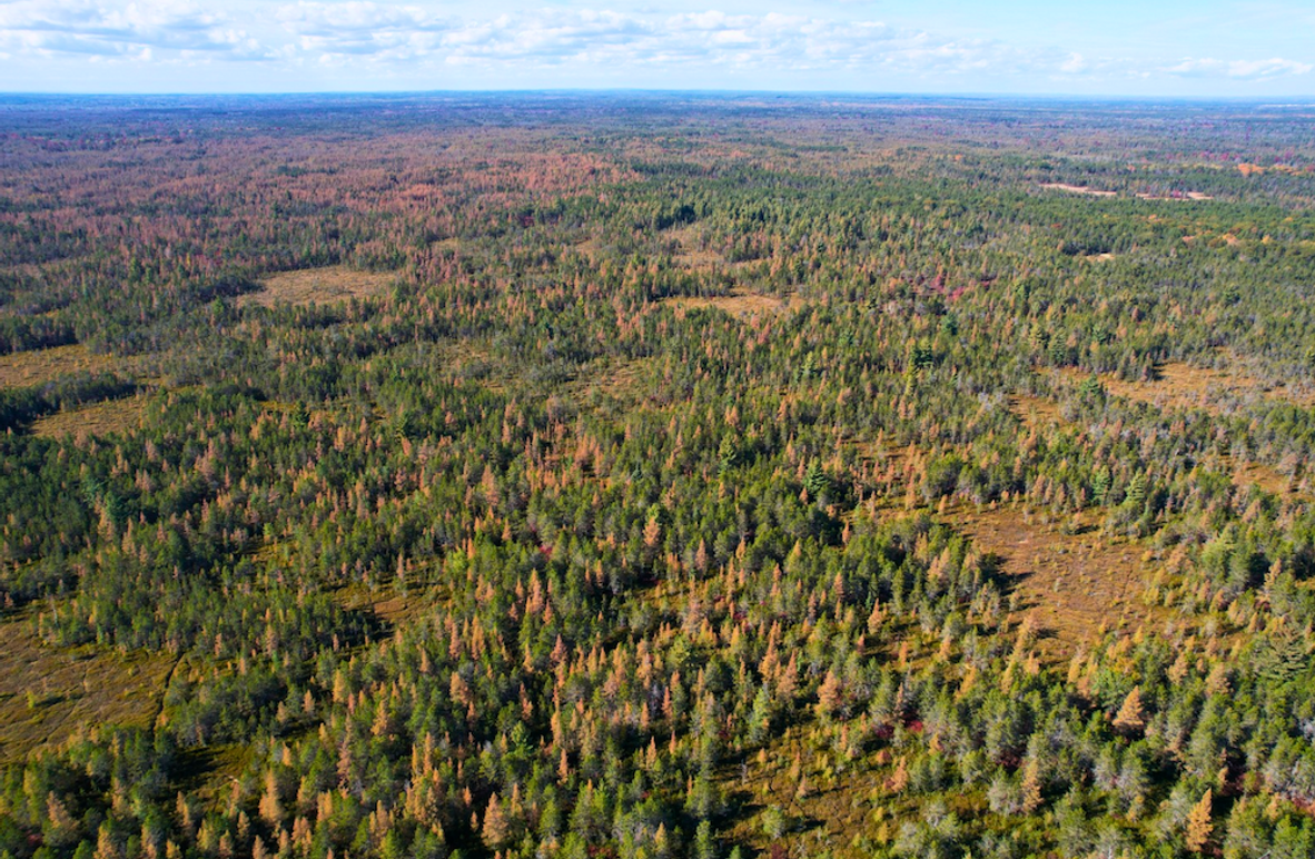 Screenshot 2025-11-14 at 11.02.55 AM