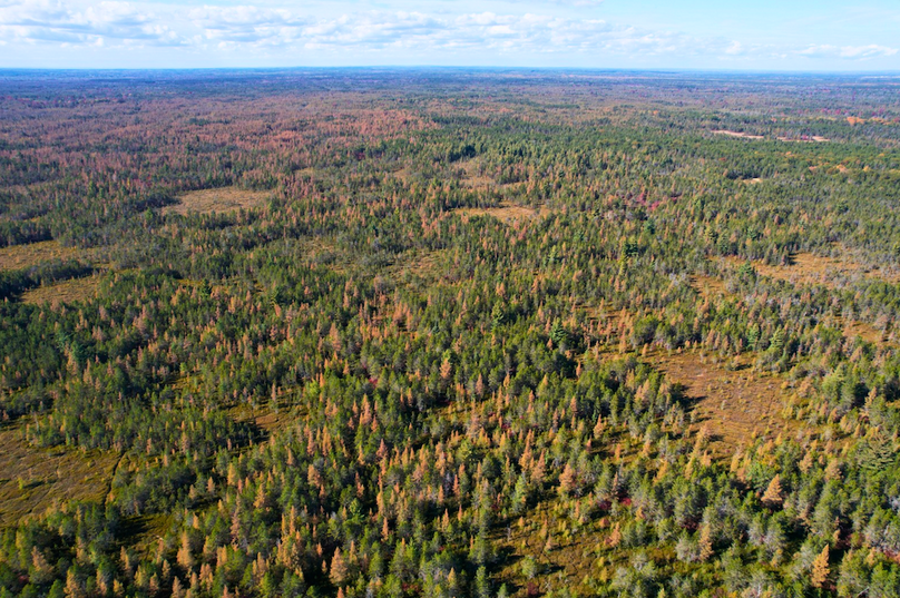 Screenshot 2025-11-14 at 11.02.55 AM