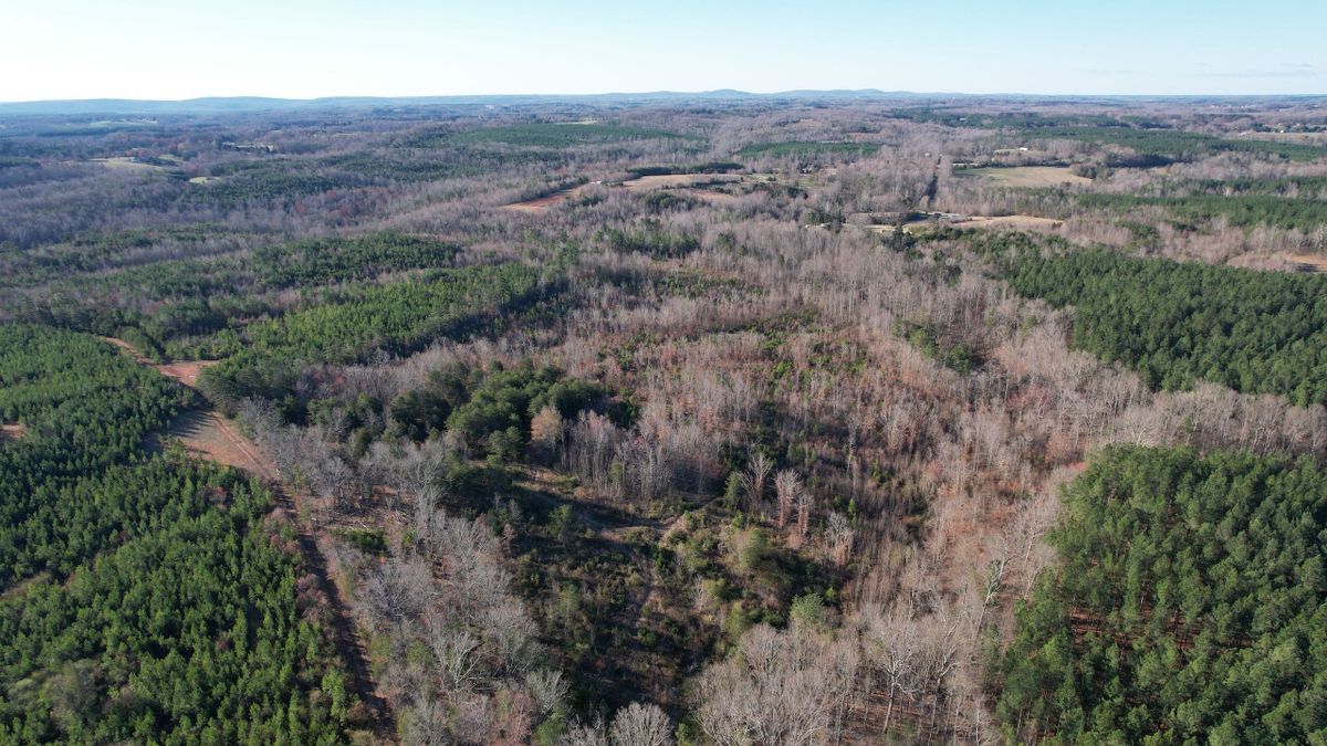 Rec Tract With Building Options For Sale Near Chatham Whitetail