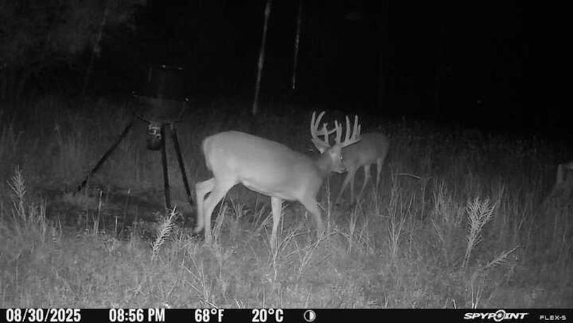 Trail Cam 1.2