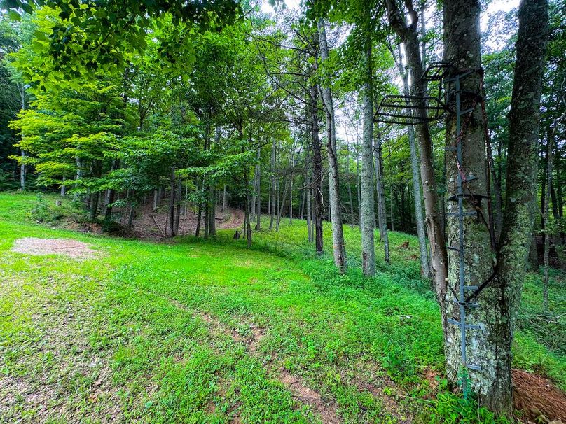 Tyler, WV 46 Lemasters -08