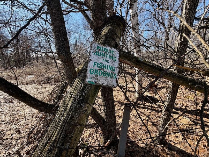 Jackson 27 Pics - 17