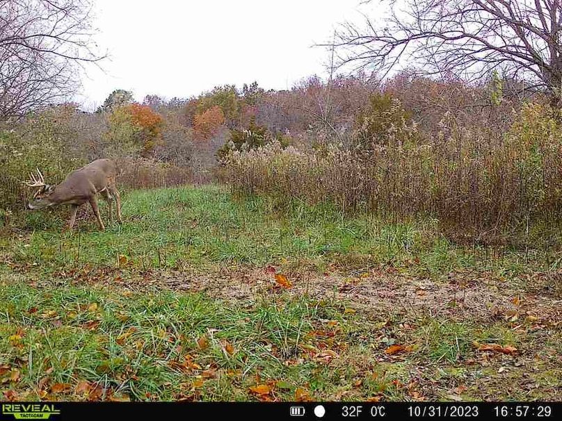 860322065128164-30-2-10312023165728-V-W1004752