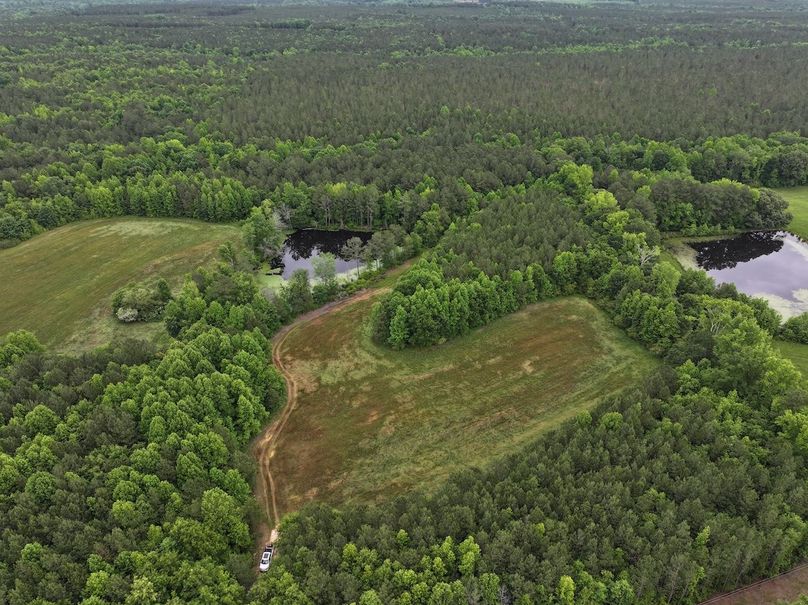 DJI_20240518155748_0004_D