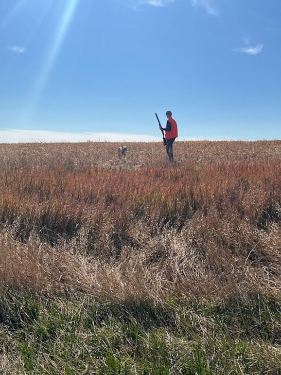 eff6c5e2-a7d4-4bc9-b219-f40f51b79cfd