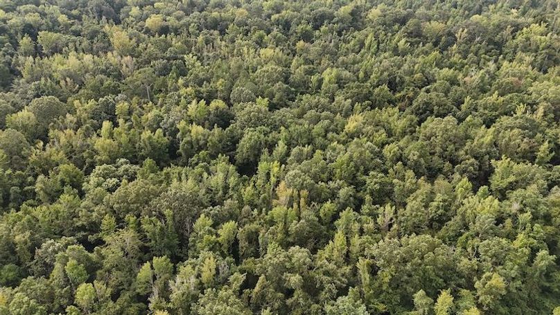 DJI_20250814092149_0066_D