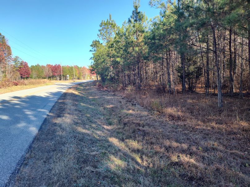 IMG_20231119_141932787_HDR