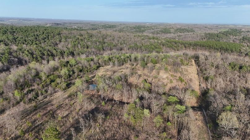 DJI_20250403191201_0099_D